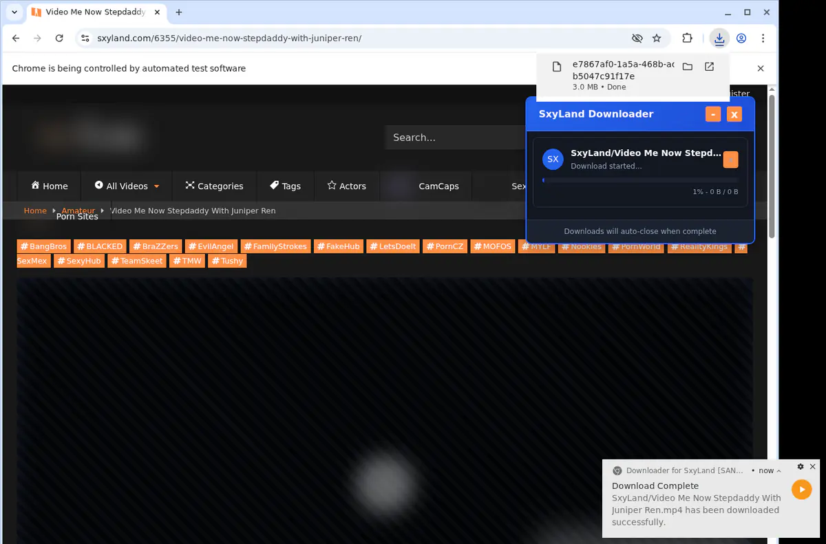 Sxyland Video Downloader screenshot 2