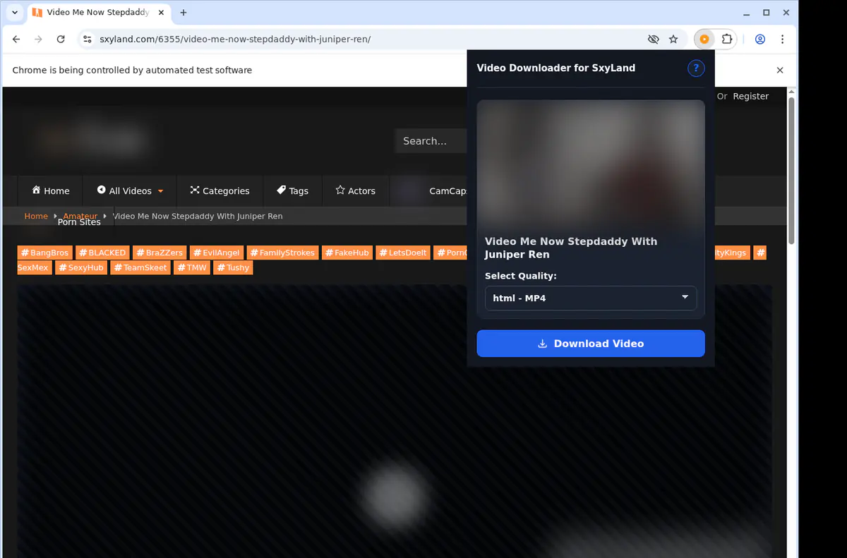 Sxyland Video Downloader screenshot 3